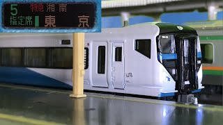 E257 Series 2000 Limited Express Shonan No. 8 Odawara to Tokyo [N Reproduction]