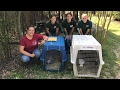 Rescuing 2 Bobcats From An Alabama Zoo - Part 2