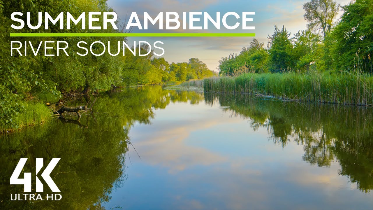 4K Relaxing Summer Evening by the River - River Splashes, Birds Songs & Frogs Croaking