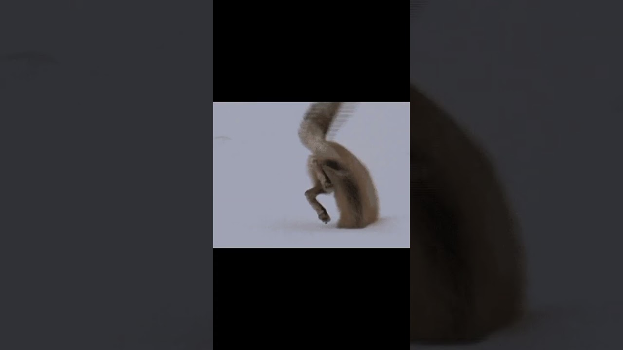 Я в душе зверёк