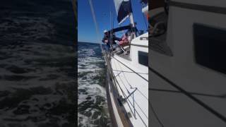 Sailing Seraphim home. A 1977 Cheoy Lee Offshore 41