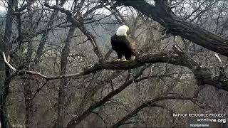 Decorah Eagles powered by EXPLORE org