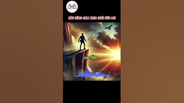 HÃY DŨNG CẢM THEO ĐUỔI ƯỚC MƠ #baihoccuocsong #trietlysong #sucsongtre #book