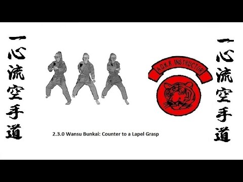 2.3.0 Wansu Bunkai: Counter to a Lapel Grasp
