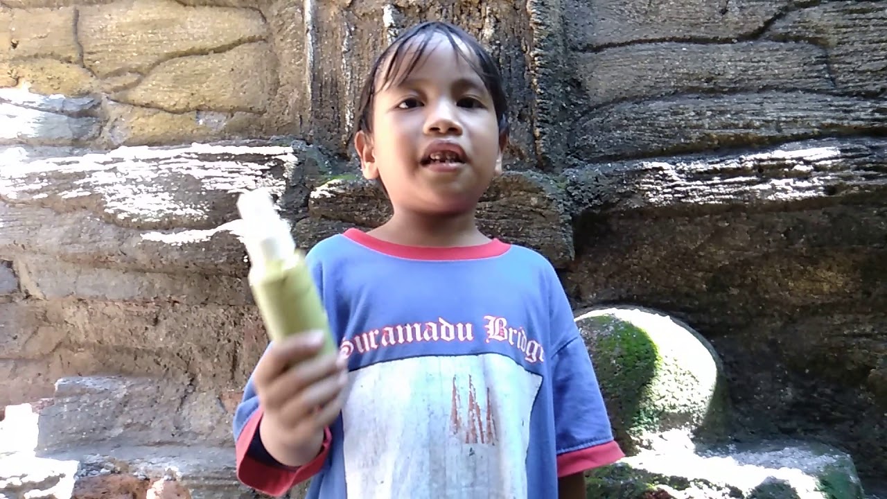 REVIEW MINYAK KUTUS KUTUS DAN TANAMU TANAMI 
