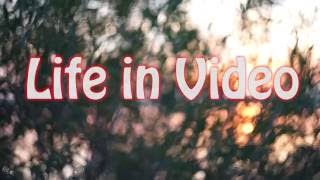 Эта удивительная Лименда(Видео ролик снят в городе Котлас в микро районе