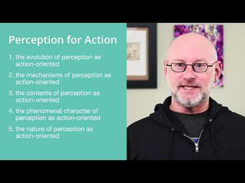Video: Hva avhenger av oppfatningene og handlingene som er tilgjengelige for agenten?