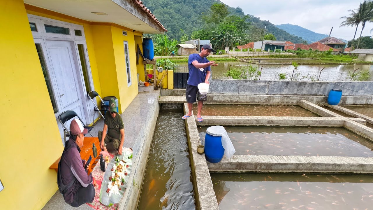 Serpihan Surga Disini‼️Buka Pintu Langsung Ada Kolam ..Kampung Tersubur,Bikin Enak Makan Nasi Liwet