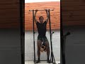 NEW RM EN PULL UPS ( +30 kg) 💪🏻🔥 #shorts #newrecord #streetlifting