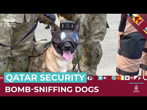 Turkey lends Qatar bomb-sniffing dogs