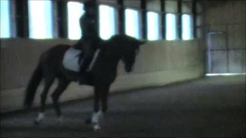 3 Loop Canter Serpentine Right