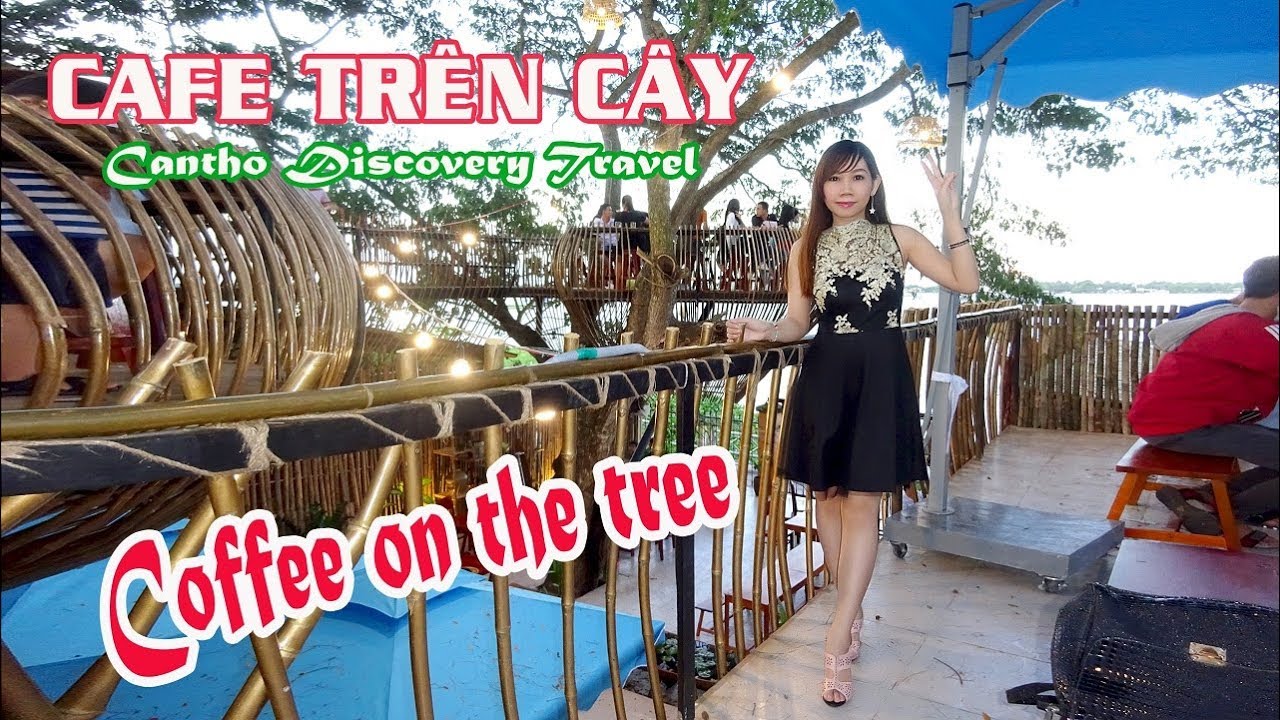 ĐỘC LẠ QUÁN CAFE TỔ CHIM TẠI CẦN THƠ | Coffee on the tree