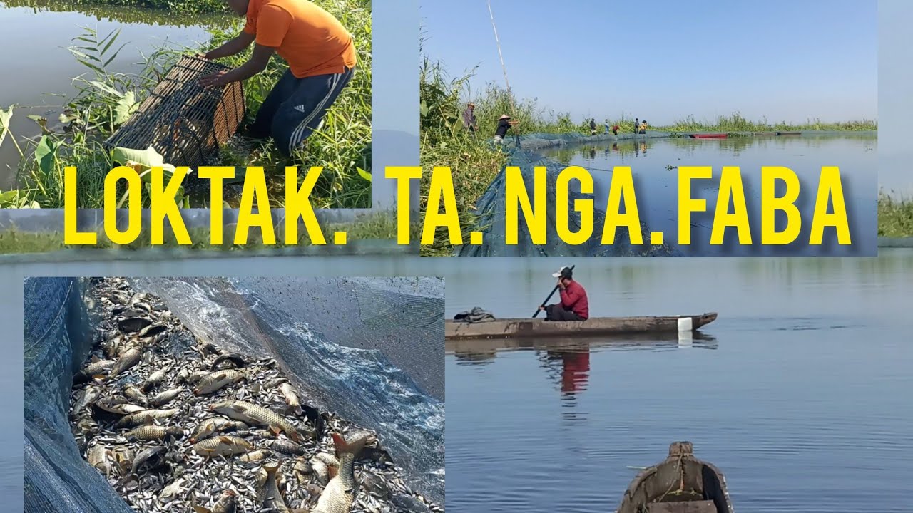 Manipur gi loktak ki fajaba malam pumbana ngaonari