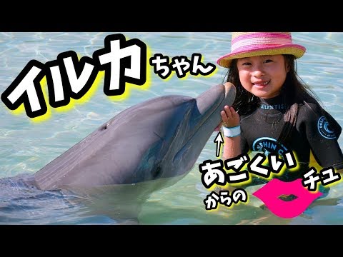イルカちゃん🐬 あごくい からの キッス💋 春休み旅行