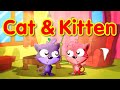 Cat Kitten Toyor Baby English 