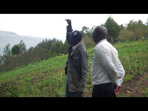 Cornerstone Preparatory Academy Water System - Maai Mahiu, Kenya