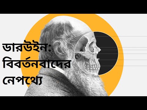 ভিডিও: বিবর্তন কি