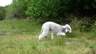 A Walk With Svet - 2010-05-24