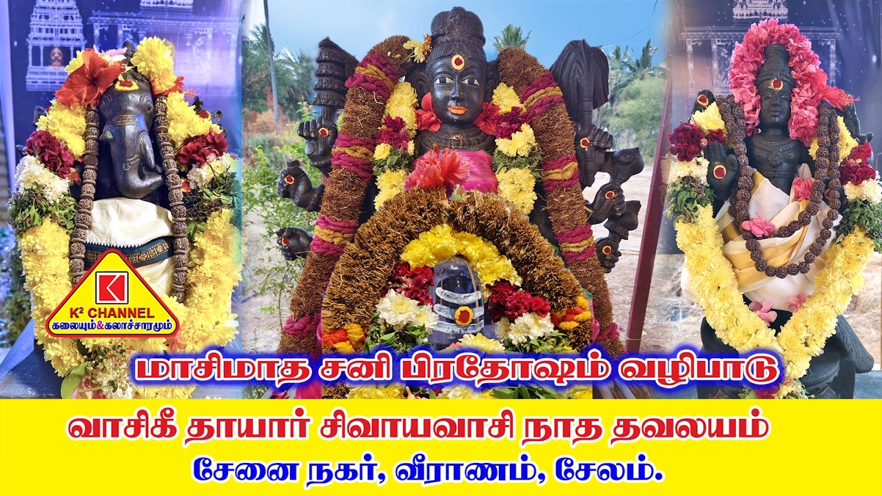 சனிப்பிரதோஷம் #வாசிகீ தாயார் சிவாயவாசி நாத தவலயம் #சேனை நகர் #வீராணம் #சேலம் #2026