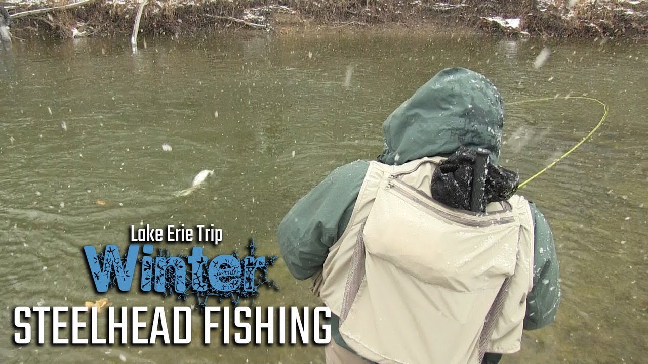 Lake Erie Trib Winter Steelhead Fishing 