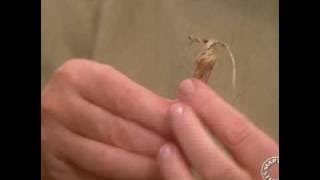 Pinecone Placecards | Thanksgiving Decorations | Martha Stewart