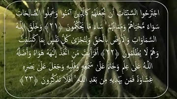 الشيخ محمد سران تراويح ليله 11 رمضان 1437هـ قراءه عذبه لسوره الجاثيه مع الدعاء