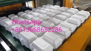 robot arm type PS GPPS Foam food box machine PS food container machinery manufacture 2