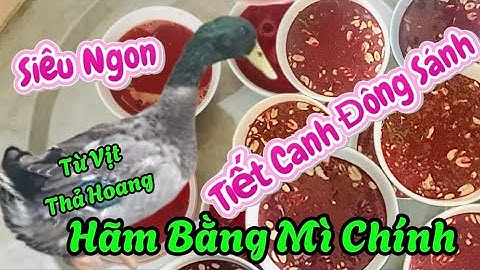 Tiết Canh Siêu Đông Đỏ Tươi -Từ Vịt Thả Hoang -Quay Siêu Ngon ❗️