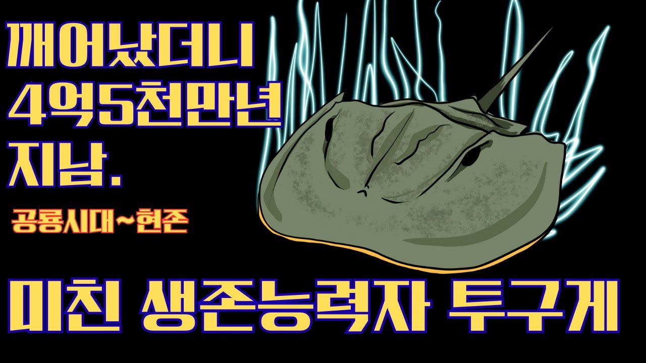 깨어났더니 공롱들이랑 살았던 투구게? 멸종속에서 어떻게 살아남은걸까?!