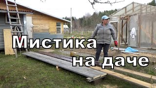 Что произошло у меня на даче, рассказываю.