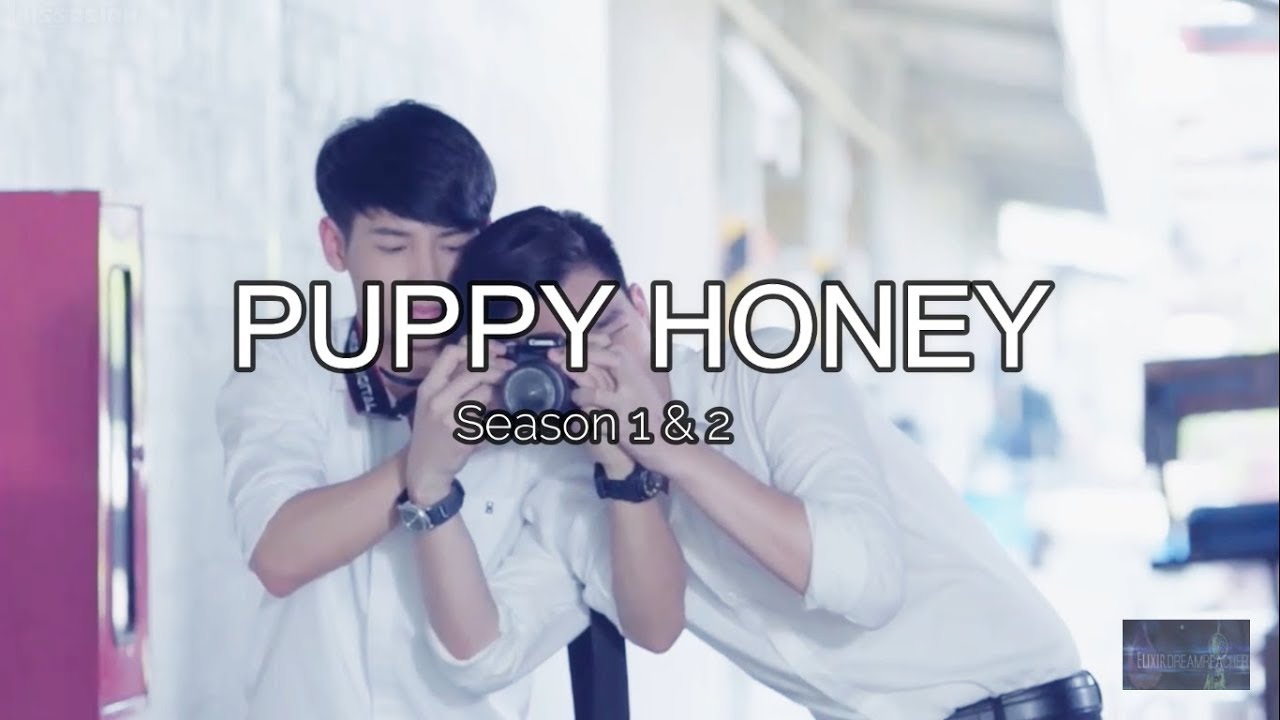 [Kiss Me] Puppy Honey's Pik and Rome