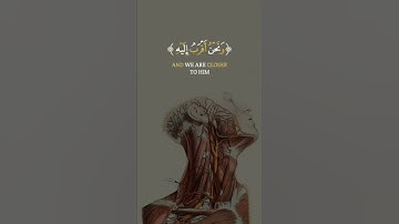 وَلَقَدْ خَلَقْنَا الْإِنسَانَ | تلاوة خاشعة تبكي القلوب بصوت الشيخ عبد الباسط عبد الصمد
