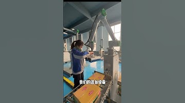 collaborative palletizing robot,30kg load