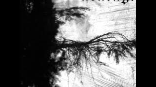 Avarayr - To Motherland, From Foreign Shores (2014)