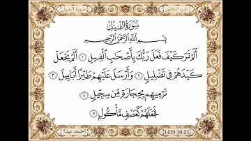 سورة الفيل بصوت الشيخ حسن صالح 105