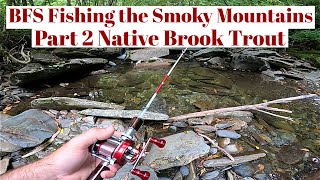 BFS Fishing the Great Smoky Mountains! Part 2 Native Brook Trout!