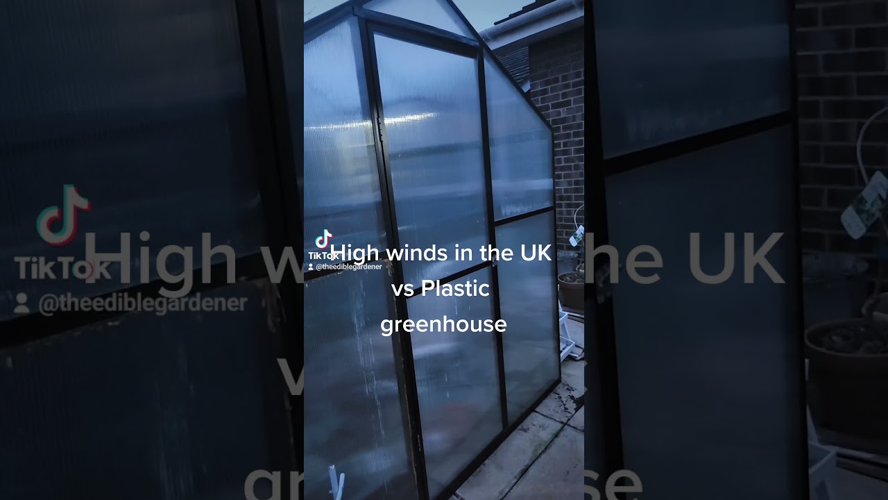 Greenhouse vs Wind 