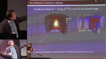 Multiphysics Modeling Tools for MSR - Manuele Aufiero @ ThEC2018