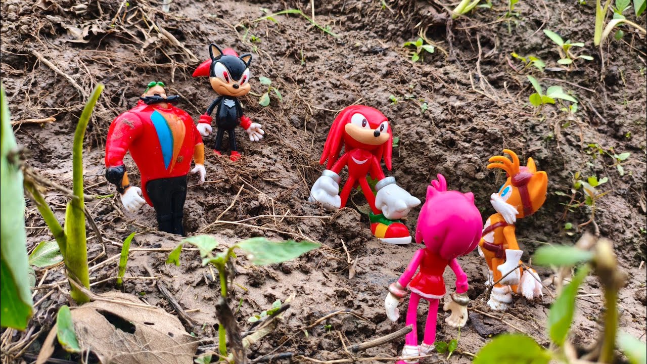 Sonic The Hedgehog/Sonic/Super Sonic/Tails/Silver/Knuckles/Shadow/Metal Sonic/Amy Rose/Egg Man/Rouge