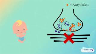 Infant Botulism and Botulinum Toxin MOA Guide