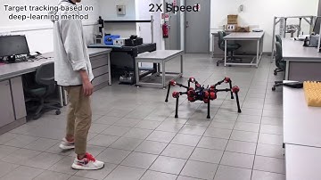 Bio inspired Visual Servoing for a Legged Robot