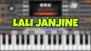 Lali janjine - cover ORG 2020