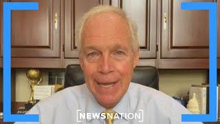 Trump's 'big, beautiful bill' would add trillions to deficit: Sen. Johnson | NewsNation Live