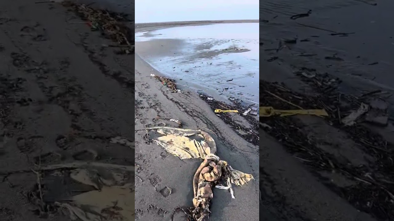 Черногорские отливы в марте.