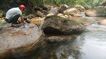Câu cá giải trí, một mình đi rừng câu cá chơi  suối, cảnh đẹp thác nước núi rừng Tây Nguyên