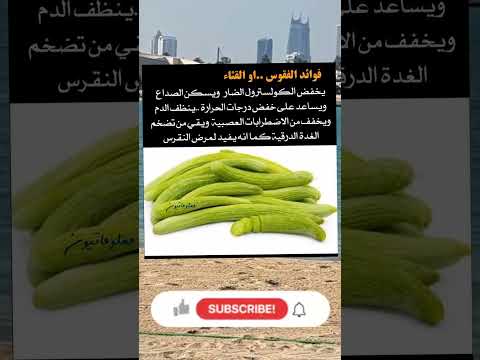 اعرف فوائد القثاء أو الفقوس القثاء غذاء صحي تغذية خسارة الوزن