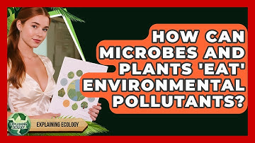 How Can Microbes And Plants 