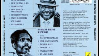 Big Walter Horton Blues Band - Trouble In Mind chords