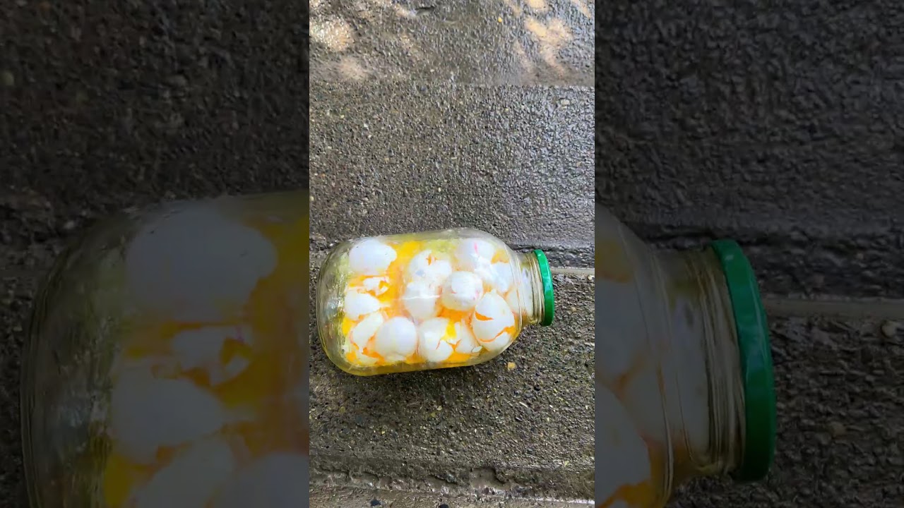 🔥 Glass Bottle Shattering — And It Only Gets Better!👻 #asmr #crushingsoftthings