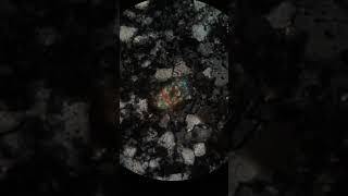 2162-25 | Zircon (XPL)